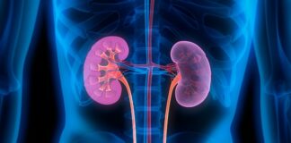 Understanding and Managing Chronic Kidney Disease (CKD) Chronic Kidney Disease