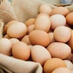 What is Free Range Egg and It’s Benefits