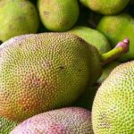 Health Benefits of Jackfruit health benefits of jackfruit