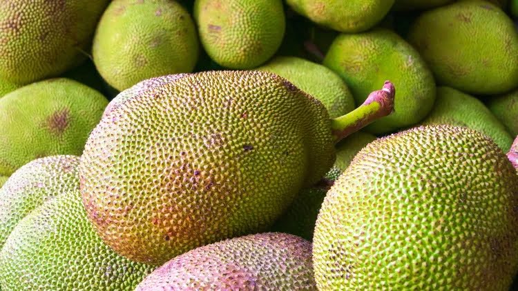 health benefits of jackfruit