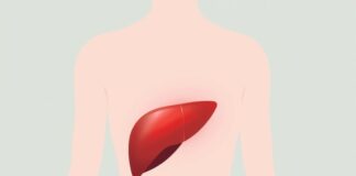 High Alkaline Phosphatase: What One Result Can Tell You High alkaline phosphatase result with liver and bone shown as possible sources